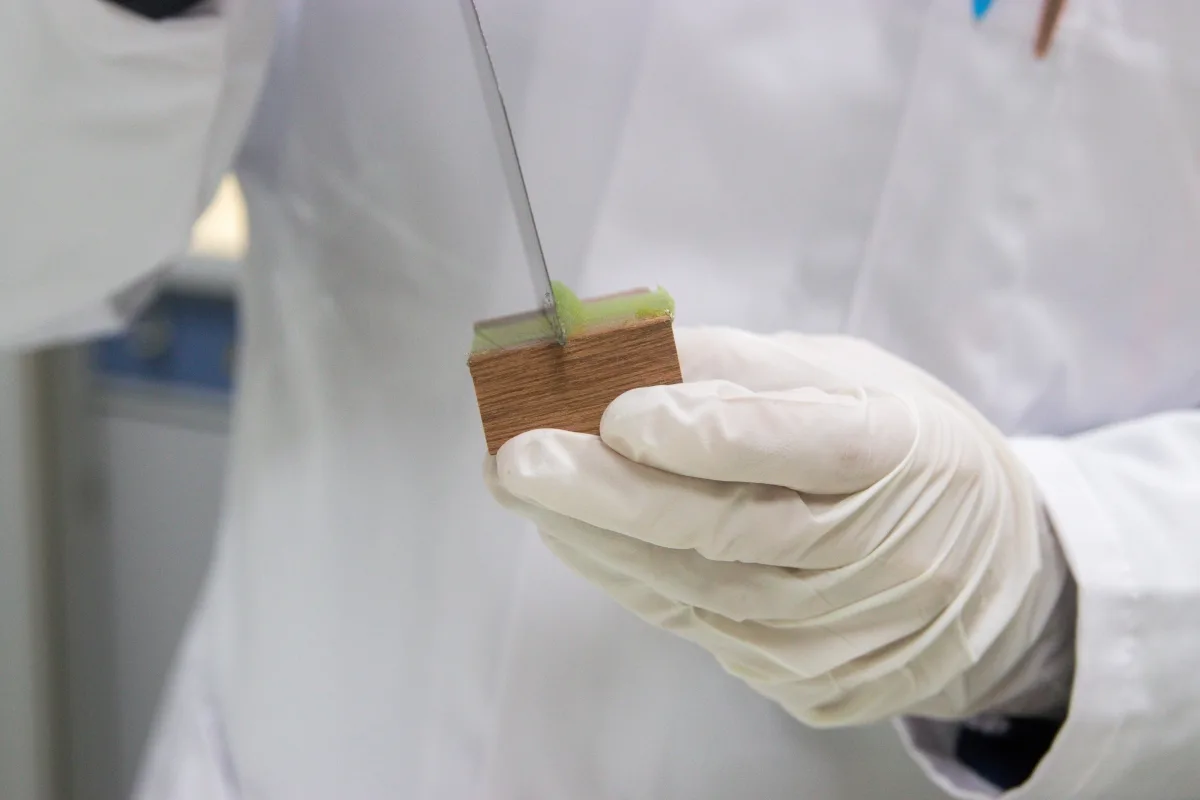 Origin of product idea 3